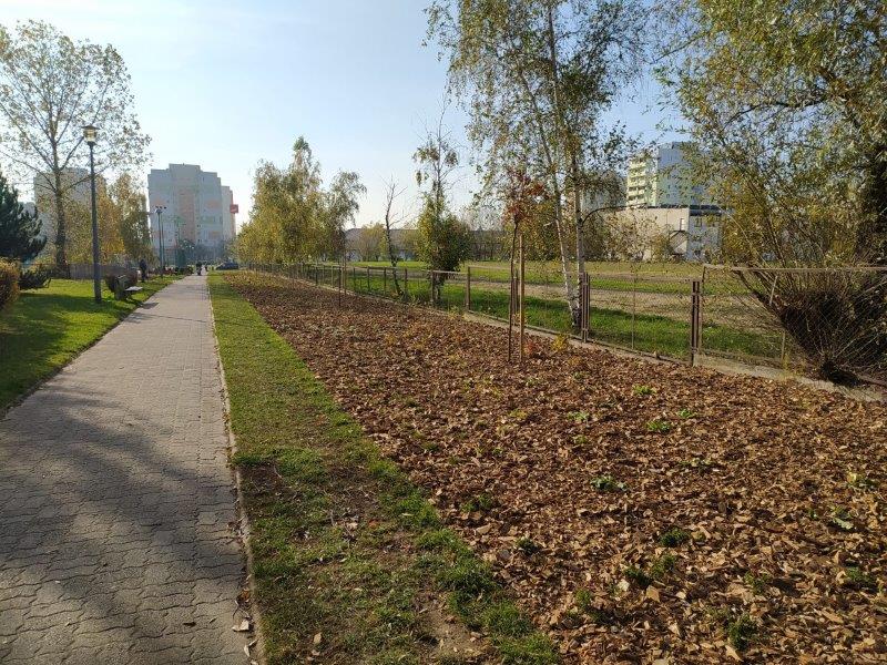 Teren zielony wysypany korą, między chodnikiem a ogrodzeniem szkoły. Nasadzone krzewy i drzewa. W oddali widać wieżowce i bloki.