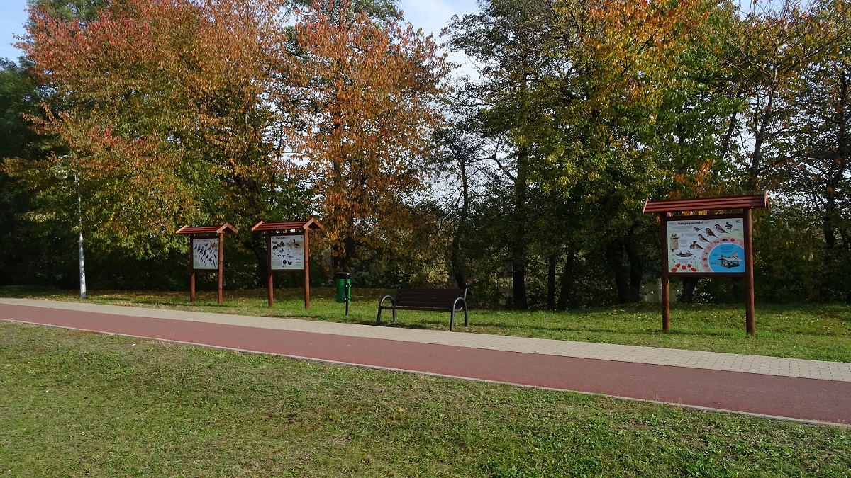 Łąka z wkopanymi tablicami informacyjnymi o ptakach. Za tablicami rosną drzewa