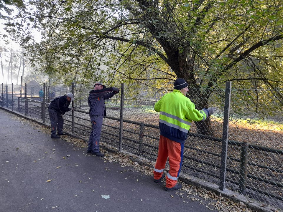 Trzech mężczyzn wymienia siatkę ogrodzenia